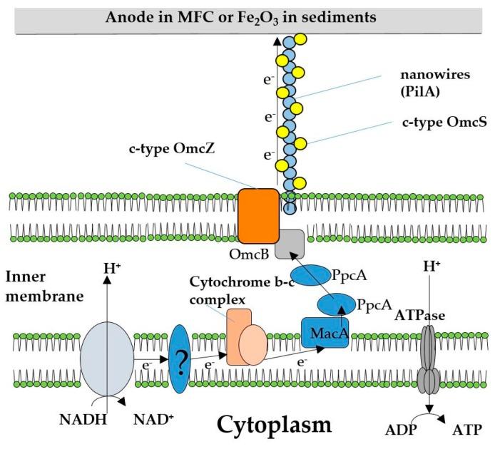 https://cdn.ncbi.nlm.nih.gov/pmc/blobs/2334/6384720/54cc4737c030/molecules-24-00646-g001.jpg