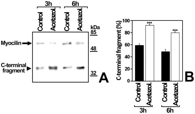 https://cdn.ncbi.nlm.nih.gov/pmc/blobs/2335/3547000/06378230c9e7/pone.0054385.g008.jpg