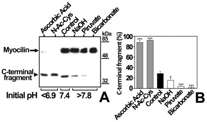 https://cdn.ncbi.nlm.nih.gov/pmc/blobs/2335/3547000/3f7eed4773a4/pone.0054385.g005.jpg
