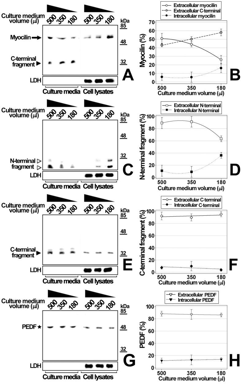 https://cdn.ncbi.nlm.nih.gov/pmc/blobs/2335/3547000/e6b8e40a35c2/pone.0054385.g012.jpg
