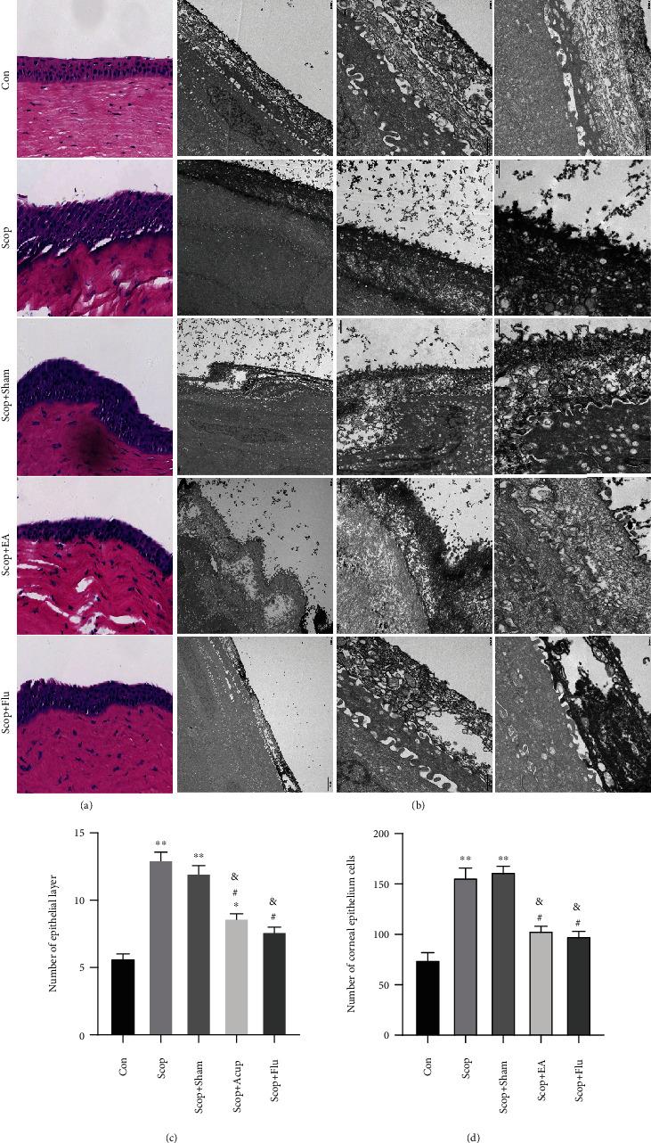 https://cdn.ncbi.nlm.nih.gov/pmc/blobs/2336/8052151/162a6ad8b1f5/OMCL2021-6673610.002.jpg
