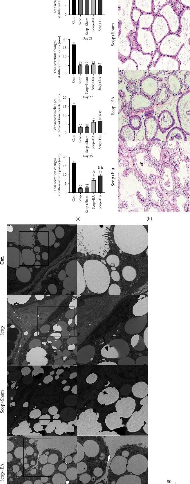 https://cdn.ncbi.nlm.nih.gov/pmc/blobs/2336/8052151/4fbaf330f803/OMCL2021-6673610.003.jpg