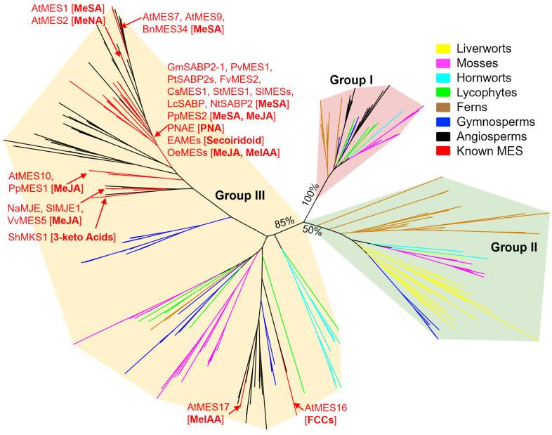 https://cdn.ncbi.nlm.nih.gov/pmc/blobs/2337/11644291/ab6b7948034c/plants-13-03364-g003.jpg