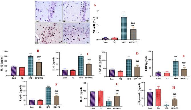 https://cdn.ncbi.nlm.nih.gov/pmc/blobs/2339/12181254/3b05adae73c2/41598_2025_5716_Fig6_HTML.jpg