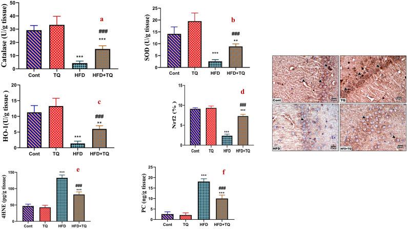 https://cdn.ncbi.nlm.nih.gov/pmc/blobs/2339/12181254/77fc1f658354/41598_2025_5716_Fig5_HTML.jpg