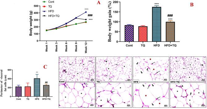 https://cdn.ncbi.nlm.nih.gov/pmc/blobs/2339/12181254/9863107ce0a4/41598_2025_5716_Fig1_HTML.jpg