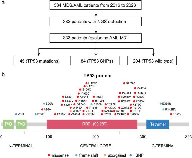 https://cdn.ncbi.nlm.nih.gov/pmc/blobs/233a/12395695/736b97a64e00/40246_2025_792_Fig1_HTML.jpg