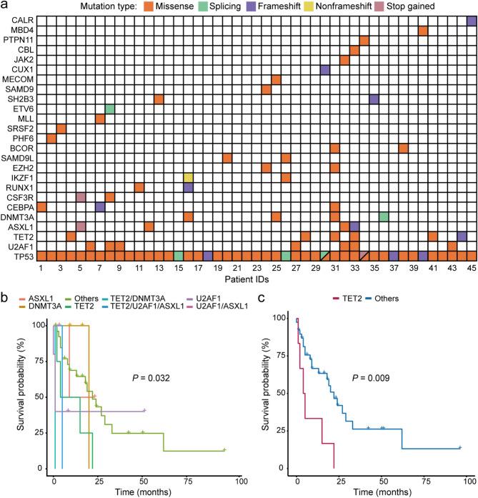 https://cdn.ncbi.nlm.nih.gov/pmc/blobs/233a/12395695/b14efd491e4f/40246_2025_792_Fig3_HTML.jpg