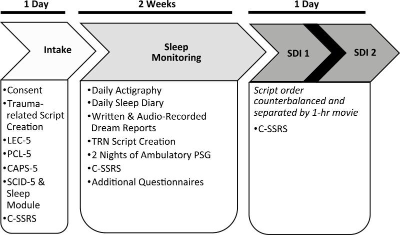 https://cdn.ncbi.nlm.nih.gov/pmc/blobs/233c/11380112/317ce1f93020/zpae060_fig1.jpg