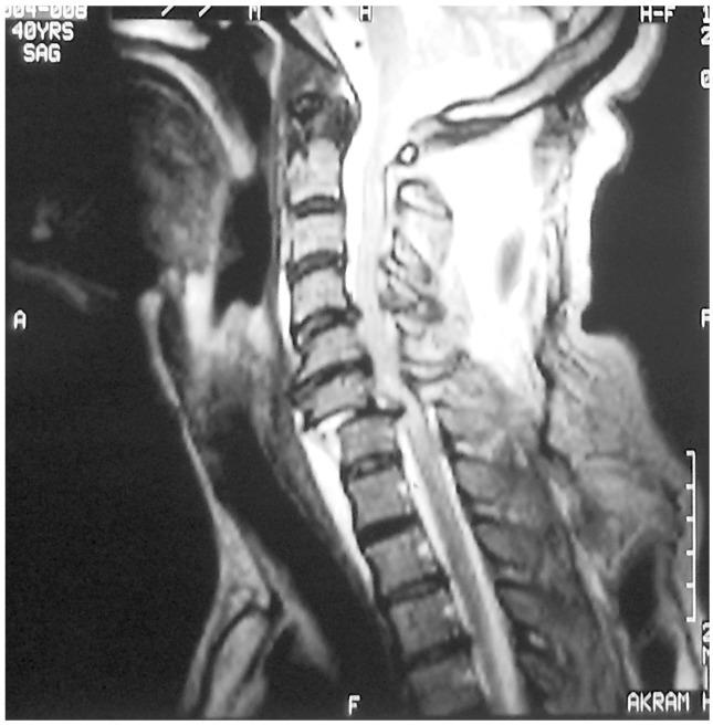https://cdn.ncbi.nlm.nih.gov/pmc/blobs/233d/4149985/c018468b0a29/asj-8-427-g001.jpg