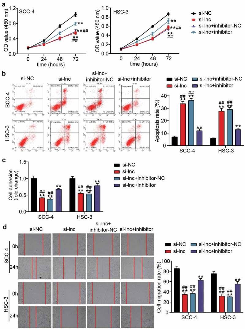 https://cdn.ncbi.nlm.nih.gov/pmc/blobs/233d/8806903/cb92b607c7a7/KBIE_A_1982324_F0004_OC.jpg