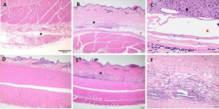 https://cdn.ncbi.nlm.nih.gov/pmc/blobs/2340/10363172/73d343043c4c/41598_2023_38973_Fig5_HTML.jpg