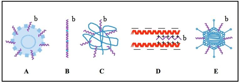 https://cdn.ncbi.nlm.nih.gov/pmc/blobs/2341/4581311/a3bea9927c83/ijms-16-19518-g003.jpg