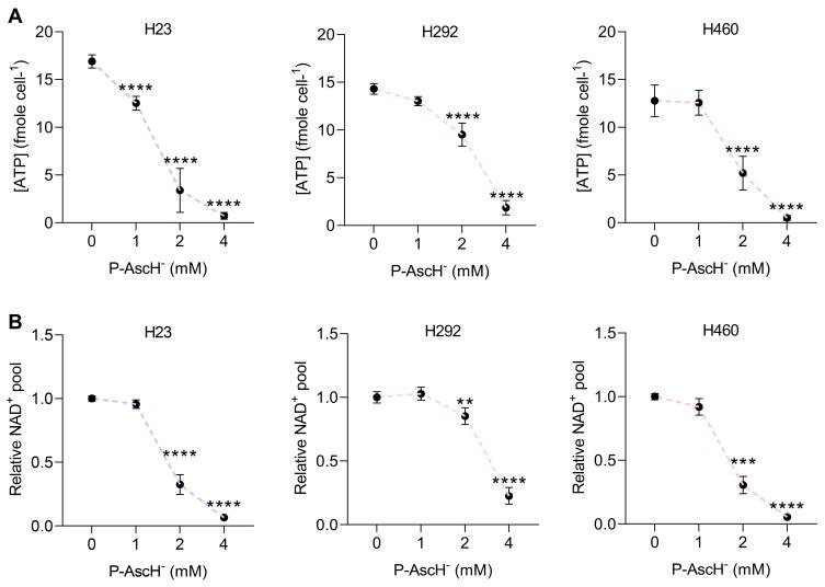 https://cdn.ncbi.nlm.nih.gov/pmc/blobs/2343/10525775/849e8616ecd9/antioxidants-12-01775-g003a.jpg
