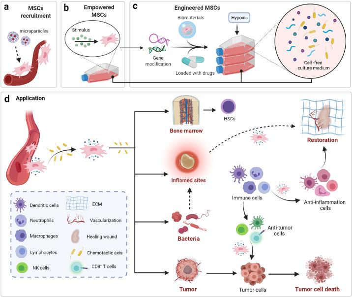 https://cdn.ncbi.nlm.nih.gov/pmc/blobs/2343/8938445/8353e05c6984/41392_2022_932_Fig3_HTML.jpg