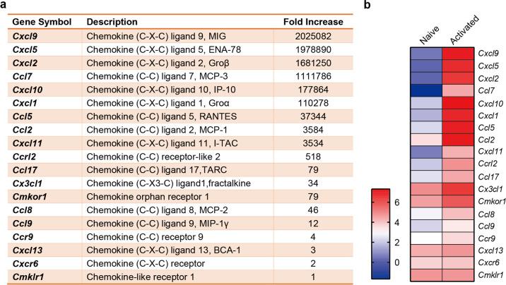 https://cdn.ncbi.nlm.nih.gov/pmc/blobs/2343/8938445/a5839fdc3e23/41392_2022_932_Fig2_HTML.jpg