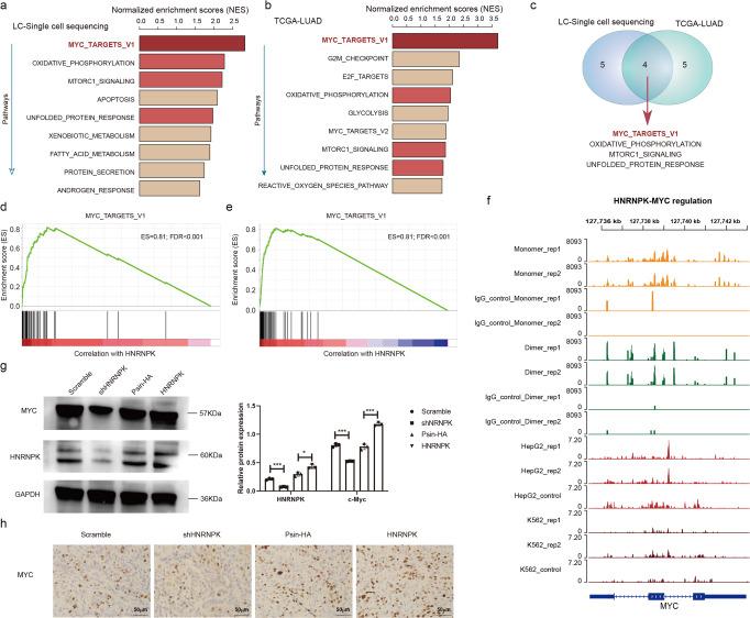 https://cdn.ncbi.nlm.nih.gov/pmc/blobs/2343/9867709/a56c41ea8b19/42003_2023_4457_Fig6_HTML.jpg