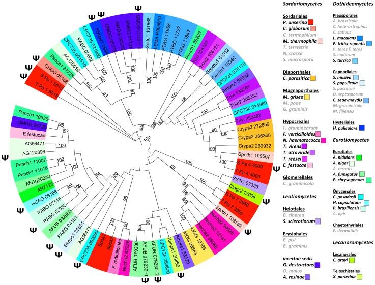 https://cdn.ncbi.nlm.nih.gov/pmc/blobs/2345/4022471/b510cf09eab0/pgen.1004387.g006.jpg