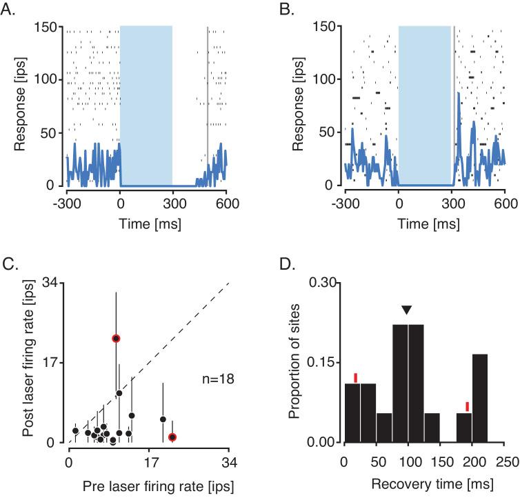https://cdn.ncbi.nlm.nih.gov/pmc/blobs/2345/7329331/76a39be89d93/elife-52658-fig3.jpg