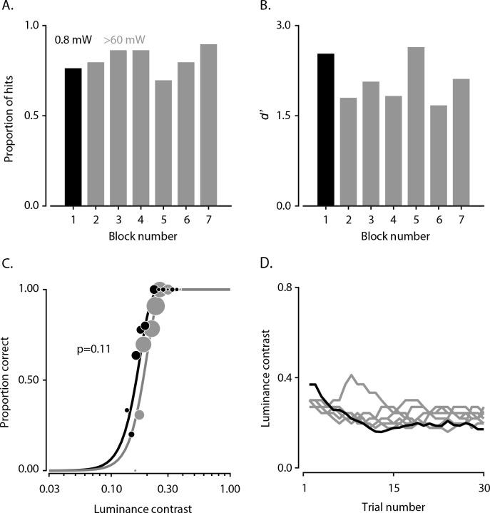https://cdn.ncbi.nlm.nih.gov/pmc/blobs/2345/7329331/854ad9e6f6d6/elife-52658-fig6-figsupp1.jpg