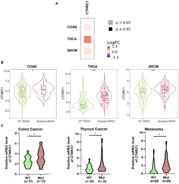 https://cdn.ncbi.nlm.nih.gov/pmc/blobs/2347/11647256/4f88f84395af/bb-2024-10397f2.jpg