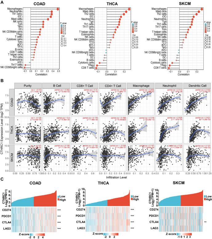 https://cdn.ncbi.nlm.nih.gov/pmc/blobs/2347/11647256/6250a7652a7e/bb-2024-10397f5.jpg