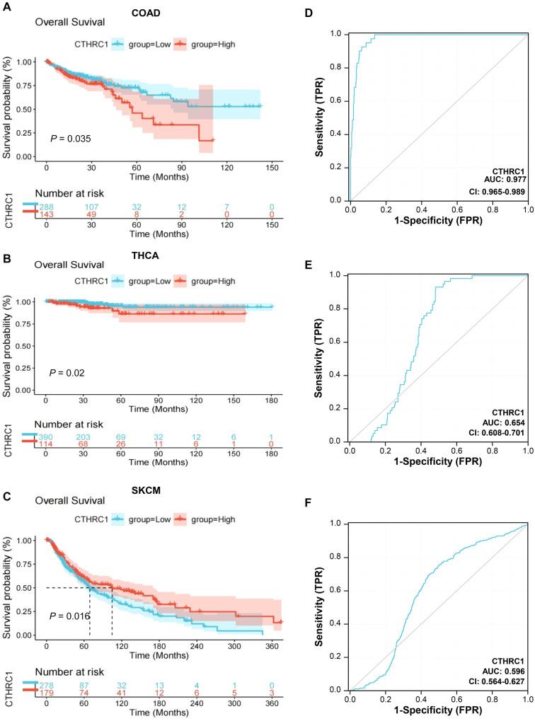 https://cdn.ncbi.nlm.nih.gov/pmc/blobs/2347/11647256/b059cadcd3d5/bb-2024-10397f3.jpg