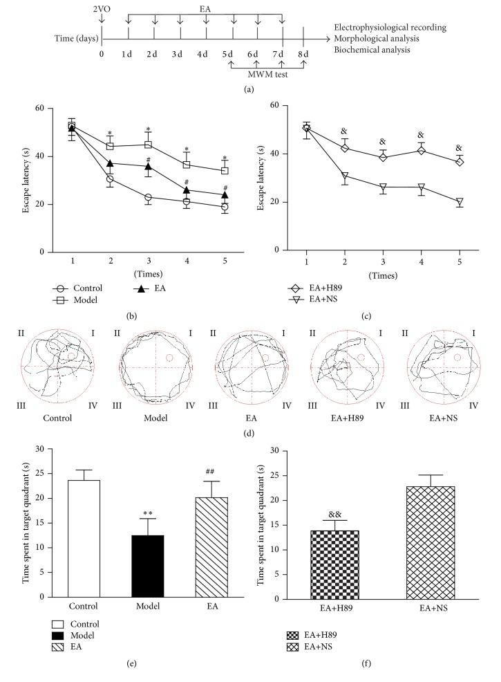 https://cdn.ncbi.nlm.nih.gov/pmc/blobs/2348/5088321/ea0ccfaab6f2/ECAM2016-7893710.002.jpg