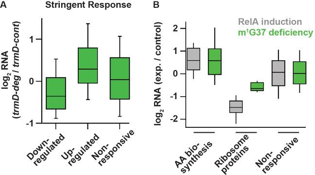 https://cdn.ncbi.nlm.nih.gov/pmc/blobs/234a/8384417/15f2e1388746/elife-70619-fig6.jpg