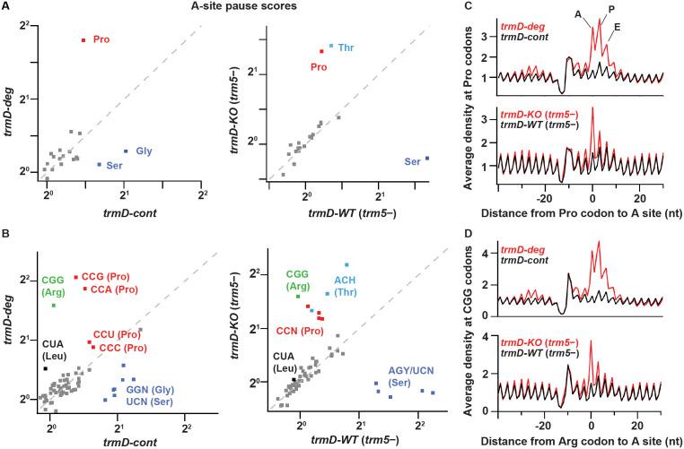 https://cdn.ncbi.nlm.nih.gov/pmc/blobs/234a/8384417/6d13164d79df/elife-70619-fig2.jpg
