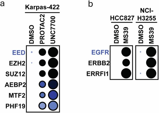 https://cdn.ncbi.nlm.nih.gov/pmc/blobs/234b/12397304/244484d54ca6/41467_2025_63357_Fig6_HTML.jpg