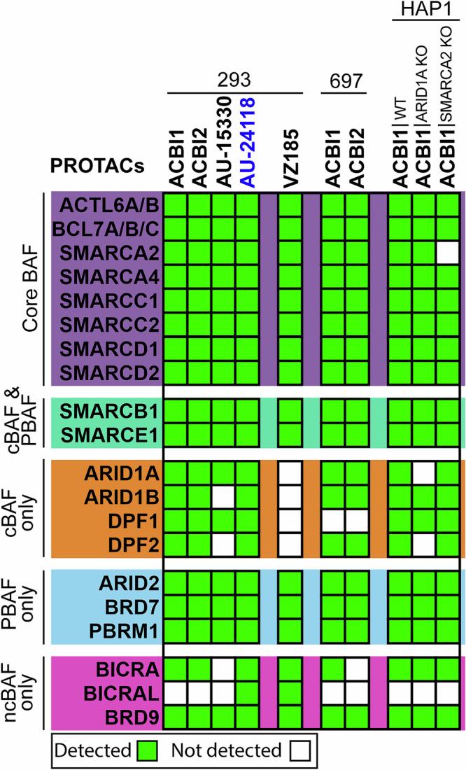 https://cdn.ncbi.nlm.nih.gov/pmc/blobs/234b/12397304/311b14454f5d/41467_2025_63357_Fig3_HTML.jpg