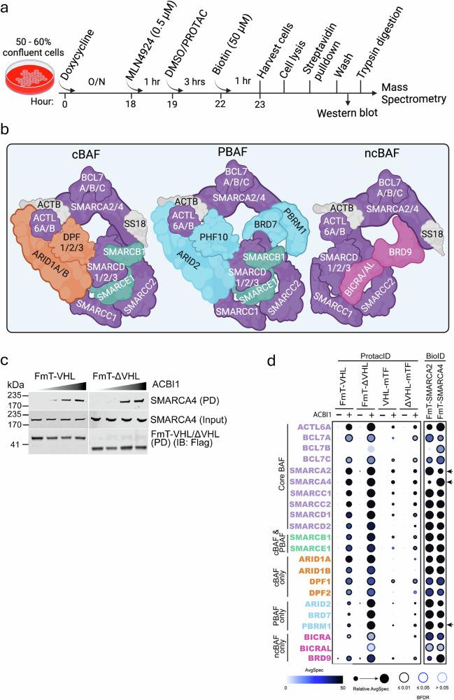 https://cdn.ncbi.nlm.nih.gov/pmc/blobs/234b/12397304/56f7347a0d8f/41467_2025_63357_Fig2_HTML.jpg