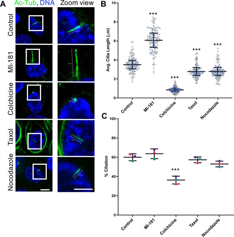 https://cdn.ncbi.nlm.nih.gov/pmc/blobs/234e/11334112/c310b6204f8f/cb4c00186_0001.jpg