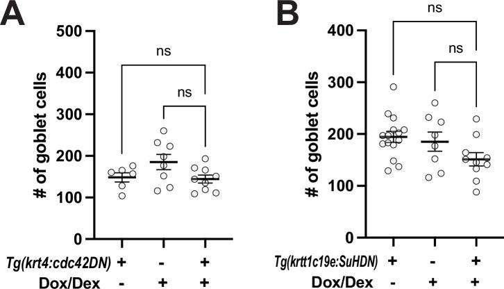 https://cdn.ncbi.nlm.nih.gov/pmc/blobs/2351/12327944/99ecf4e687ce/elife-97400-fig3-figsupp2.jpg