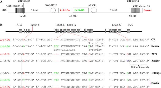 https://cdn.ncbi.nlm.nih.gov/pmc/blobs/2351/7311377/c9858c1d4bef/122_2020_3589_Fig3_HTML.jpg
