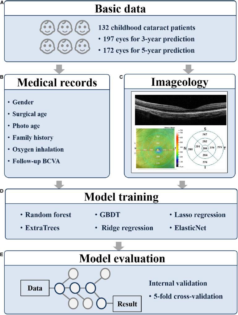 https://cdn.ncbi.nlm.nih.gov/pmc/blobs/2351/7973224/791800ed7af6/fbioe-09-646479-g001.jpg