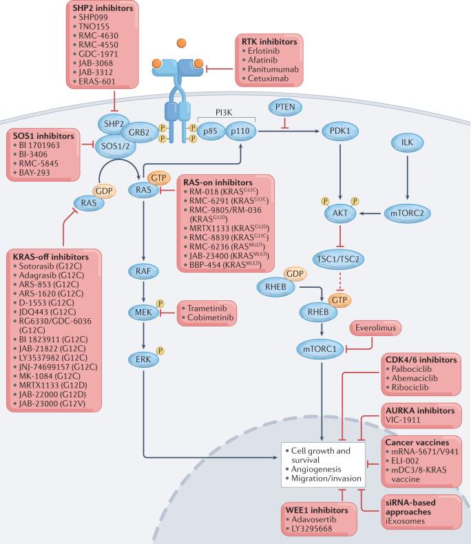 https://cdn.ncbi.nlm.nih.gov/pmc/blobs/2352/9412785/f678674497cd/41571_2022_671_Fig1_HTML.jpg