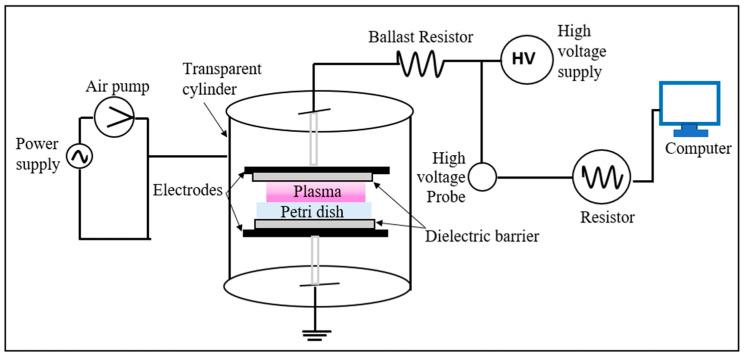 https://cdn.ncbi.nlm.nih.gov/pmc/blobs/2353/10007475/059e99e5e12a/polymers-15-01235-g001.jpg
