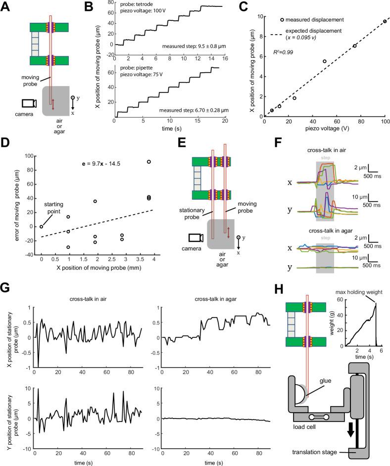 https://cdn.ncbi.nlm.nih.gov/pmc/blobs/2353/9651949/76b9e6f6d2af/elife-71876-fig4.jpg