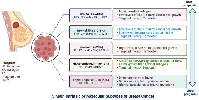 https://cdn.ncbi.nlm.nih.gov/pmc/blobs/2357/11666570/6d7eb1fa51a8/fimmu-15-1455211-g001.jpg