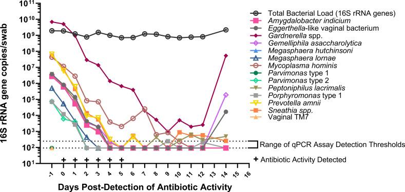 https://cdn.ncbi.nlm.nih.gov/pmc/blobs/2358/11633388/10498b0a5538/mbio.01110-24.f001.jpg
