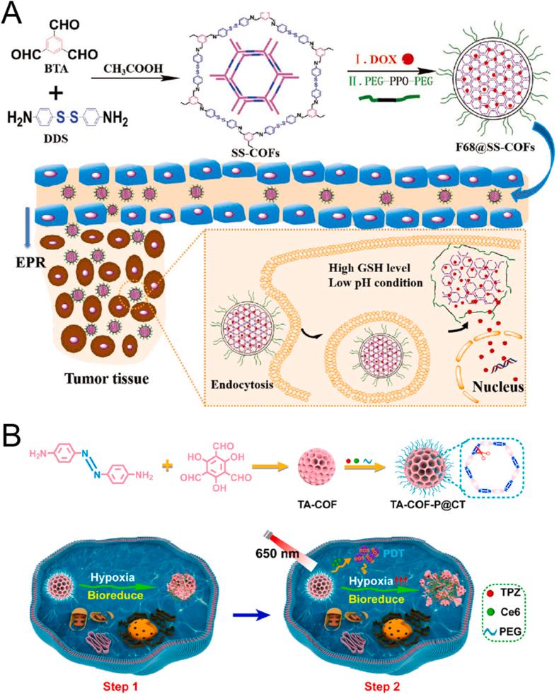 https://cdn.ncbi.nlm.nih.gov/pmc/blobs/2358/12082171/be714cd43d2f/gr4.jpg