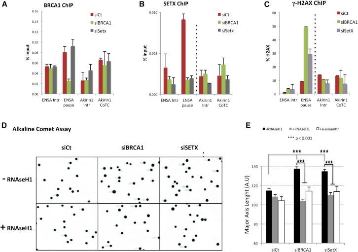 https://cdn.ncbi.nlm.nih.gov/pmc/blobs/2358/4673317/10cbd36e21ce/gr4.jpg