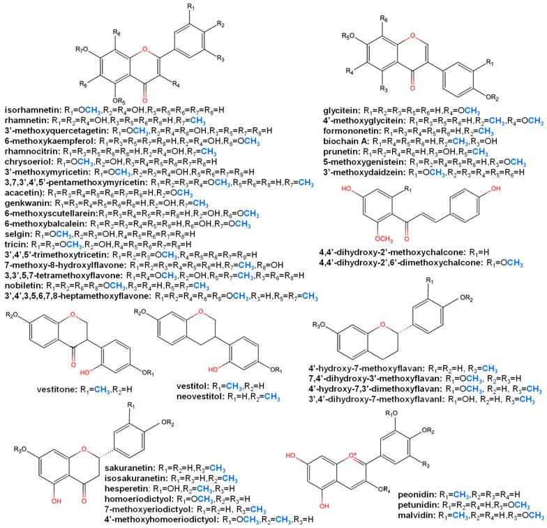 https://cdn.ncbi.nlm.nih.gov/pmc/blobs/2358/8876552/1c0c9302cc48/plants-11-00564-g002.jpg