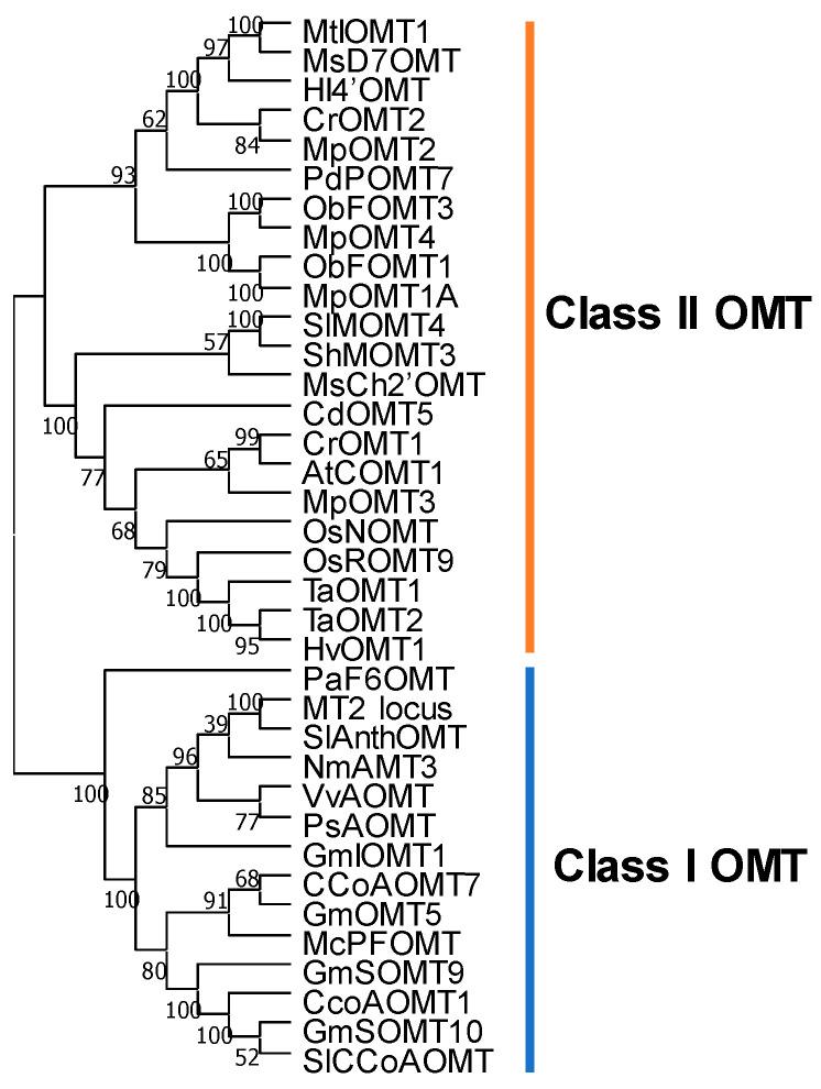 https://cdn.ncbi.nlm.nih.gov/pmc/blobs/2358/8876552/26c25ec7303e/plants-11-00564-g005.jpg