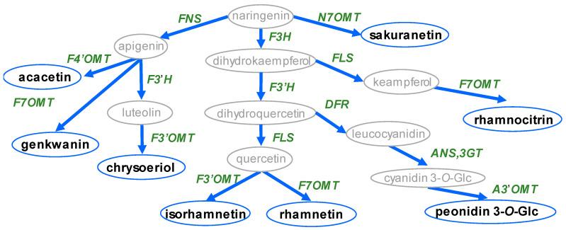 https://cdn.ncbi.nlm.nih.gov/pmc/blobs/2358/8876552/7df8d62505a9/plants-11-00564-g001.jpg