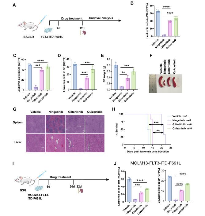 https://cdn.ncbi.nlm.nih.gov/pmc/blobs/235a/11229190/1753fa2fc49e/12964_2024_1729_Fig5_HTML.jpg