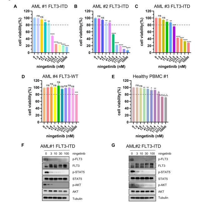 https://cdn.ncbi.nlm.nih.gov/pmc/blobs/235a/11229190/40f603d74451/12964_2024_1729_Fig6_HTML.jpg