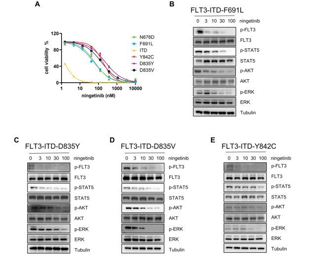 https://cdn.ncbi.nlm.nih.gov/pmc/blobs/235a/11229190/4820a1a60b75/12964_2024_1729_Fig4_HTML.jpg